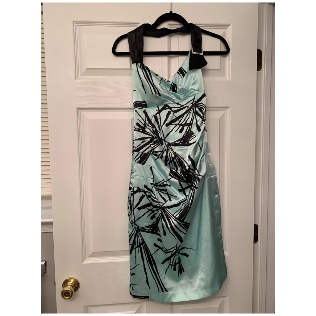 Le Chateau Nwot Beautiful Cocktail Dress.